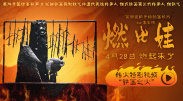 国产精品亚洲高清一区二区