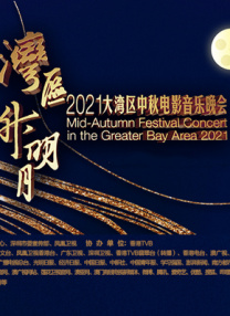 白夜追凶第一季全集
